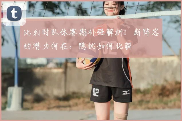 比利时队休赛期补强解析：新阵容的潜力何在，隐忧如何化解