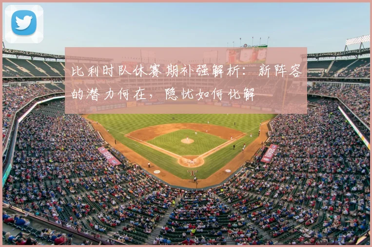 比利时队休赛期补强解析:新阵容的潜力何在,隐忧如何化解